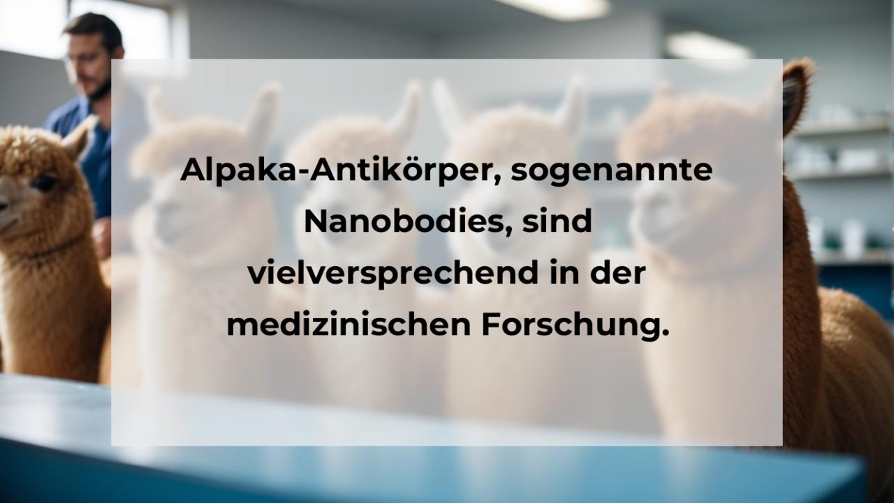 Alpaka-Antikörper, sogenannte Nanobodies, sind vielversprechend in der medizinischen Forschung.