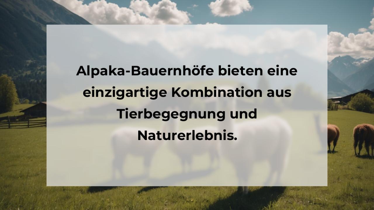 Alpaka-Bauernhöfe bieten eine einzigartige Kombination aus Tierbegegnung und Naturerlebnis.