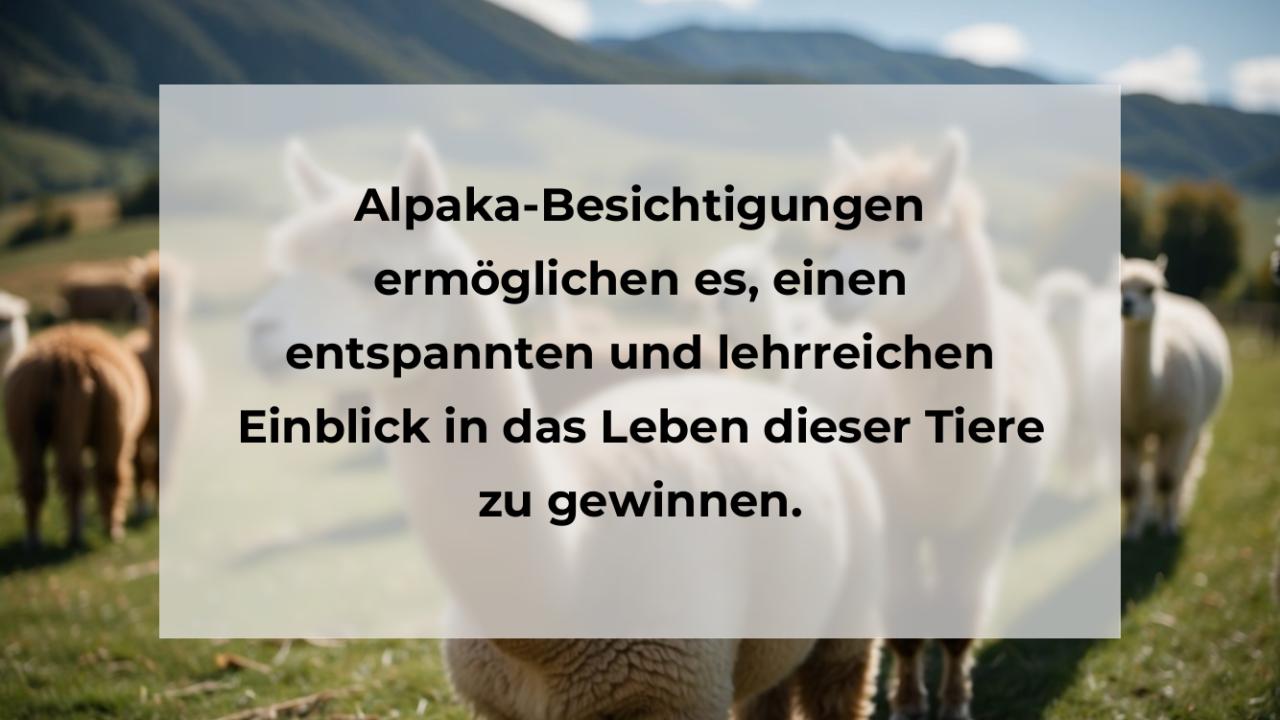 Alpaka-Besichtigungen ermöglichen es, einen entspannten und lehrreichen Einblick in das Leben dieser Tiere zu gewinnen.