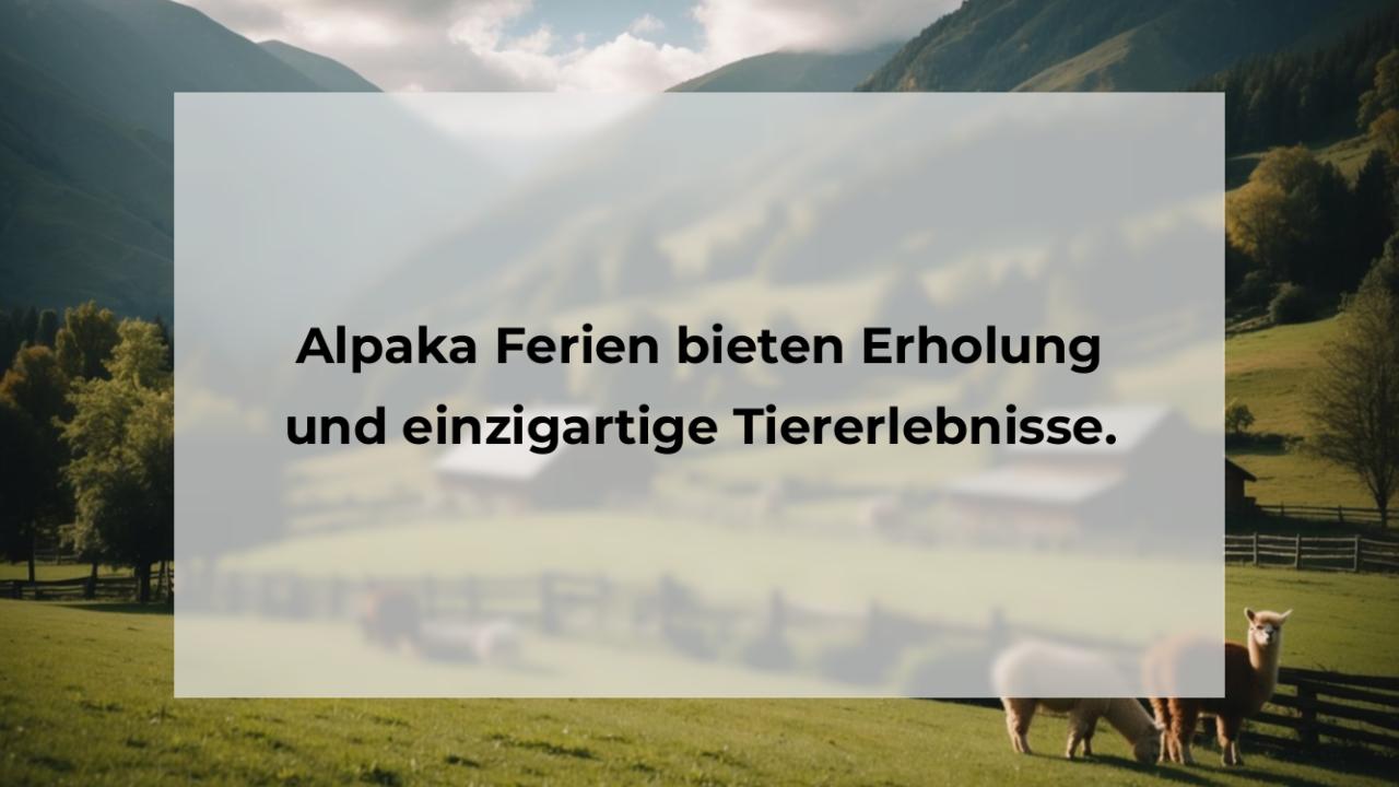 Alpaka Ferien bieten Erholung und einzigartige Tiererlebnisse.