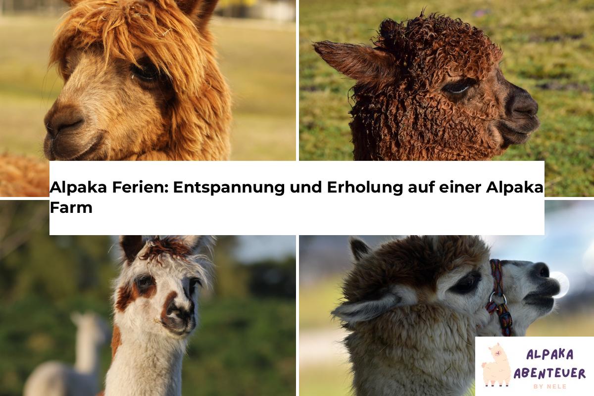 Die verschiedenen Arten von Alpakas: Ein Überblick | Alpaka Abenteuer