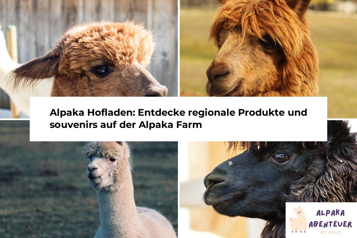 Alpaka Pflege: Wichtige Maßnahmen für das Wohlbefinden deiner Alpakas ...