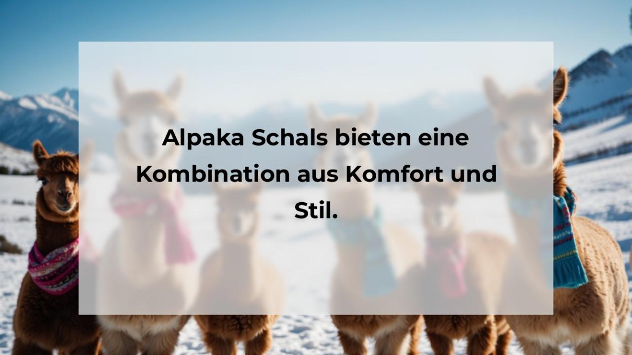 Alpaka Schals bieten eine Kombination aus Komfort und Stil.