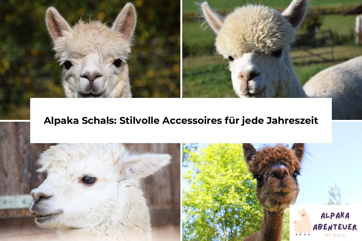 Alpaka Schals: Stilvolle Accessoires für jede Jahreszeit | Alpaka Abenteuer