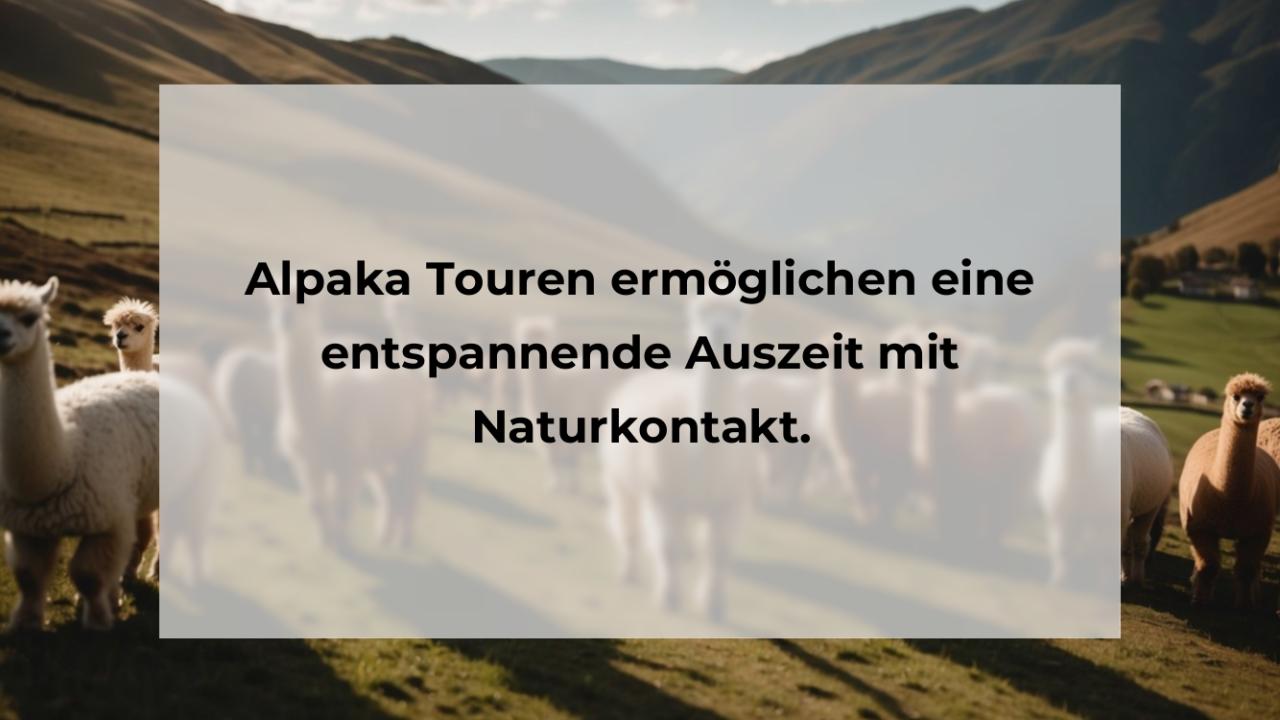 Alpaka Touren ermöglichen eine entspannende Auszeit mit Naturkontakt.