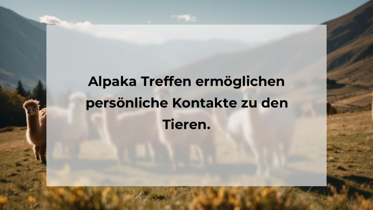 Alpaka Treffen ermöglichen persönliche Kontakte zu den Tieren.