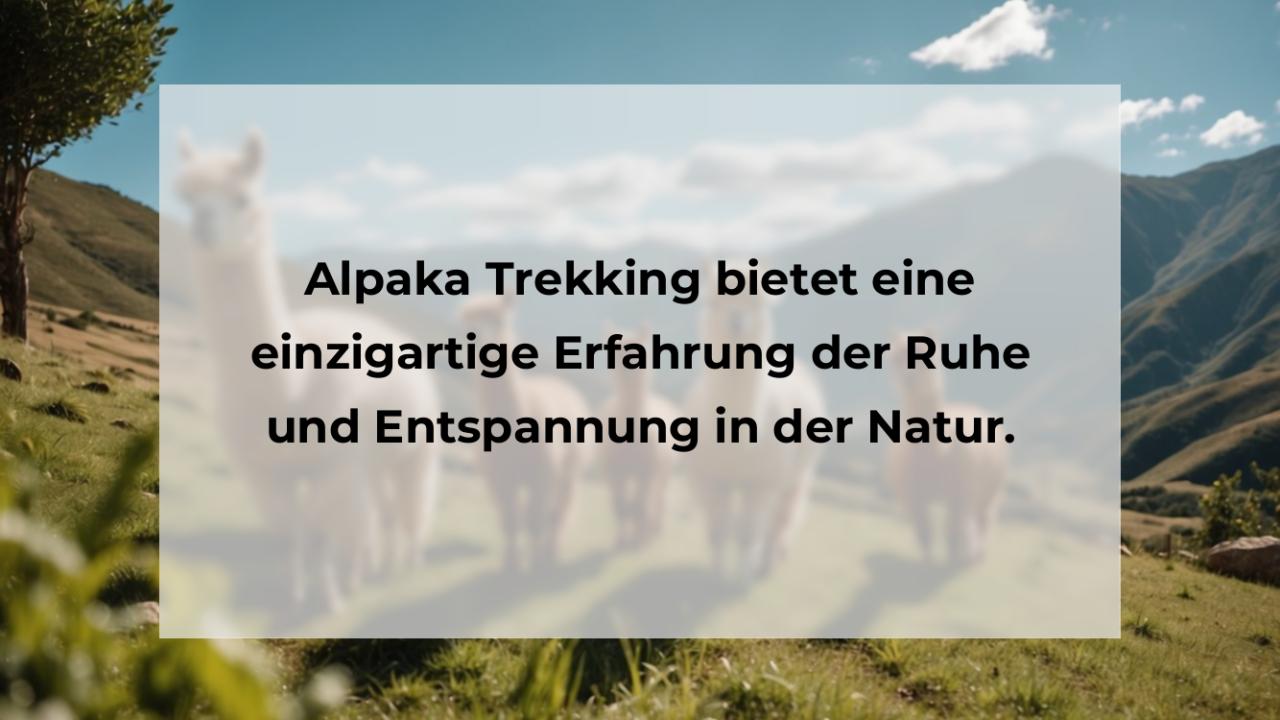 Alpaka Trekking bietet eine einzigartige Erfahrung der Ruhe und Entspannung in der Natur.