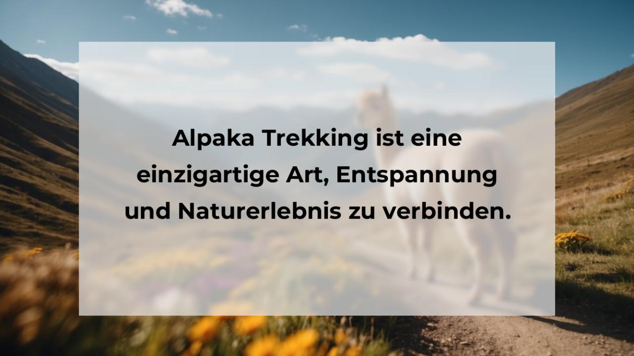 Alpaka Trekking ist eine einzigartige Art, Entspannung und Naturerlebnis zu verbinden.