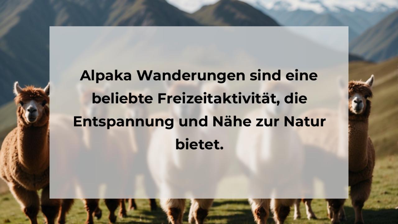 Alpaka Wanderungen sind eine beliebte Freizeitaktivität, die Entspannung und Nähe zur Natur bietet.