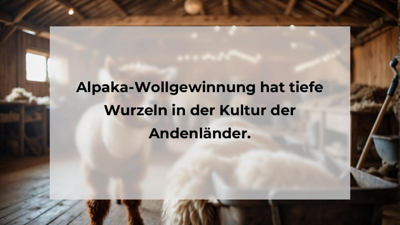 Alpaka-Wollgewinnung hat tiefe Wurzeln in der Kultur der Andenländer.