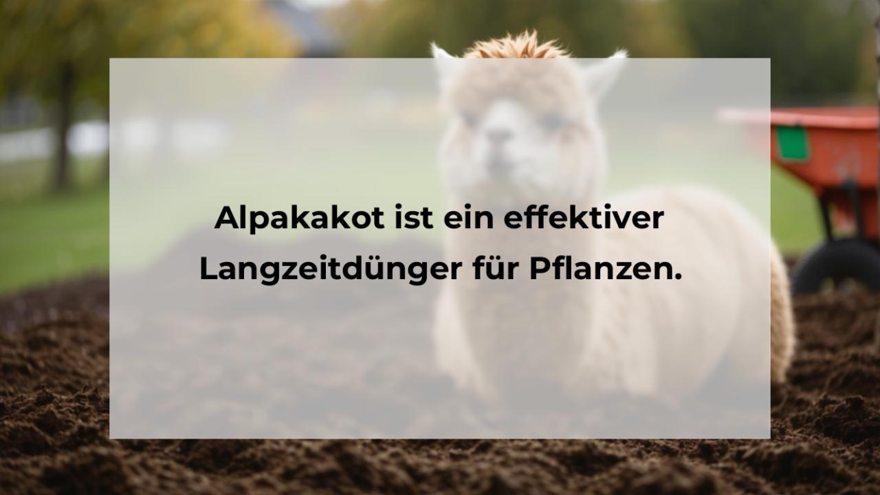 Alpakakot ist ein effektiver Langzeitdünger für Pflanzen.