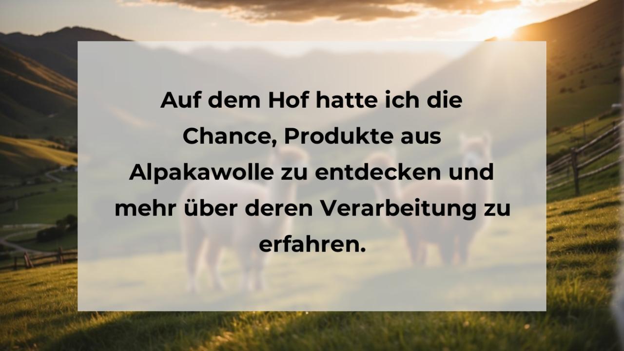 Auf dem Hof hatte ich die Chance, Produkte aus Alpakawolle zu entdecken und mehr über deren Verarbeitung zu erfahren.