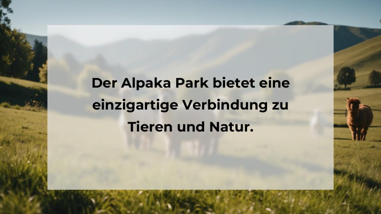 Der Alpaka Park bietet eine einzigartige Verbindung zu Tieren und Natur.