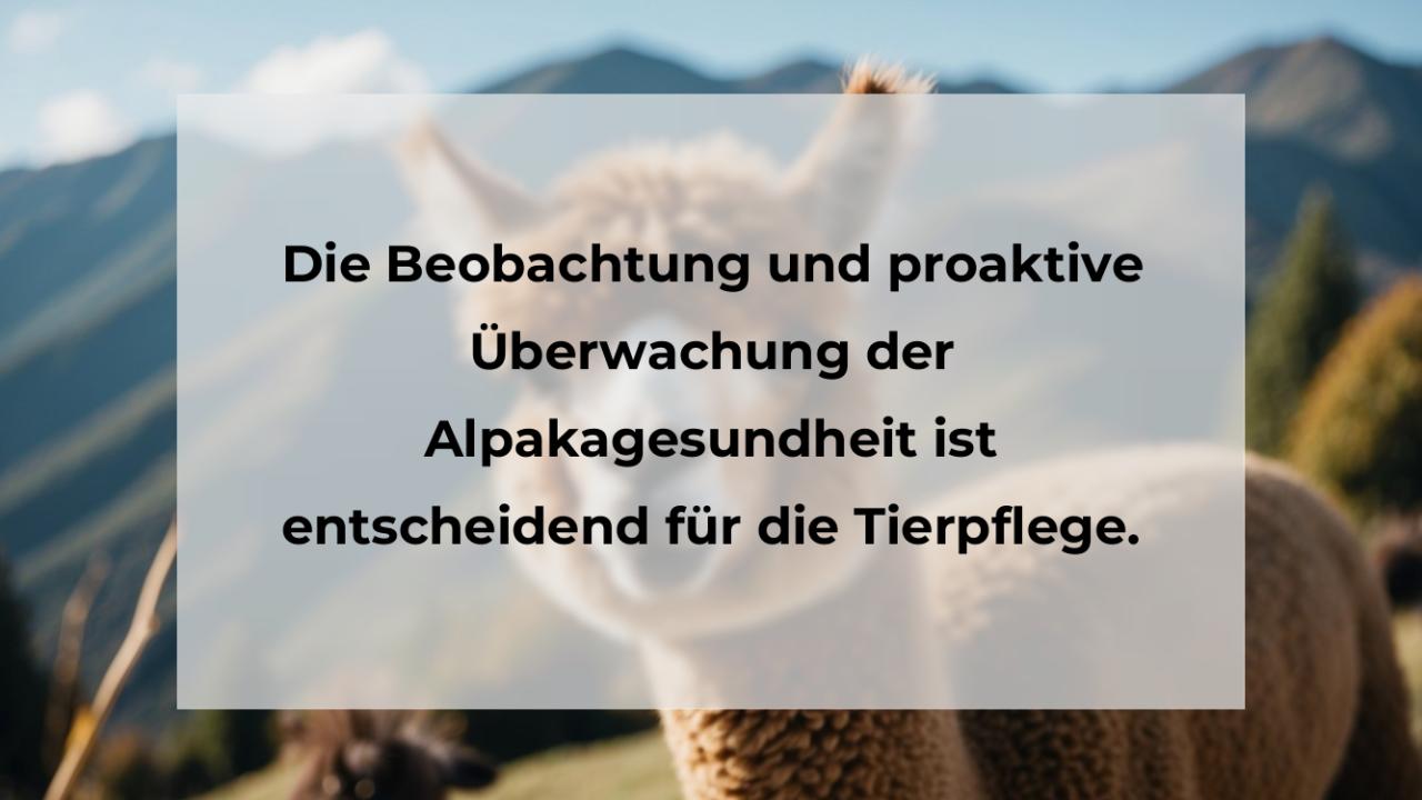 Die Beobachtung und proaktive Überwachung der Alpakagesundheit ist entscheidend für die Tierpflege.