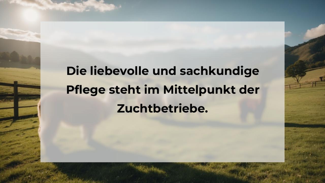 Die liebevolle und sachkundige Pflege steht im Mittelpunkt der Zuchtbetriebe.