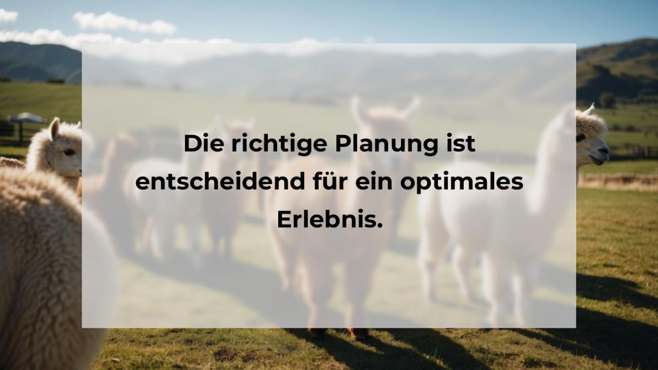 Die richtige Planung ist entscheidend für ein optimales Erlebnis.