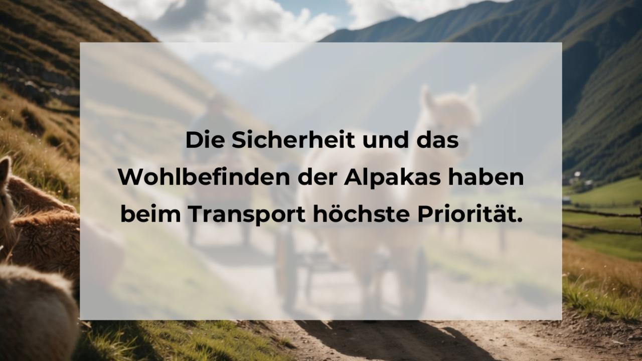 Die Sicherheit und das Wohlbefinden der Alpakas haben beim Transport höchste Priorität.