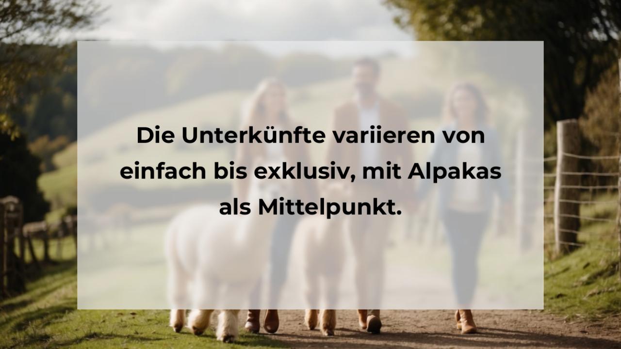 Die Unterkünfte variieren von einfach bis exklusiv, mit Alpakas als Mittelpunkt.