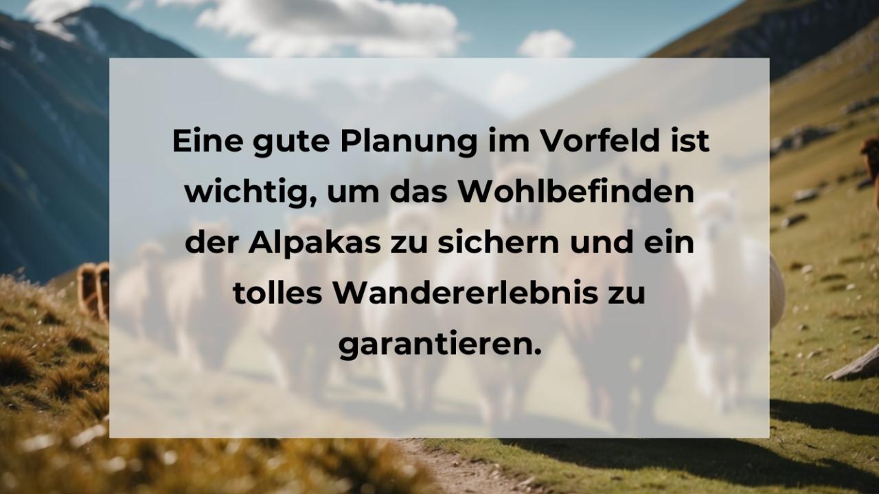 Eine gute Planung im Vorfeld ist wichtig, um das Wohlbefinden der Alpakas zu sichern und ein tolles Wandererlebnis zu garantieren.