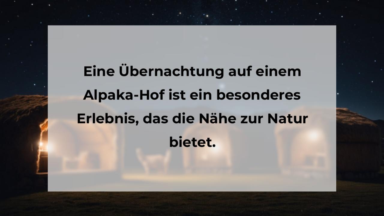 Eine Übernachtung auf einem Alpaka-Hof ist ein besonderes Erlebnis, das die Nähe zur Natur bietet.