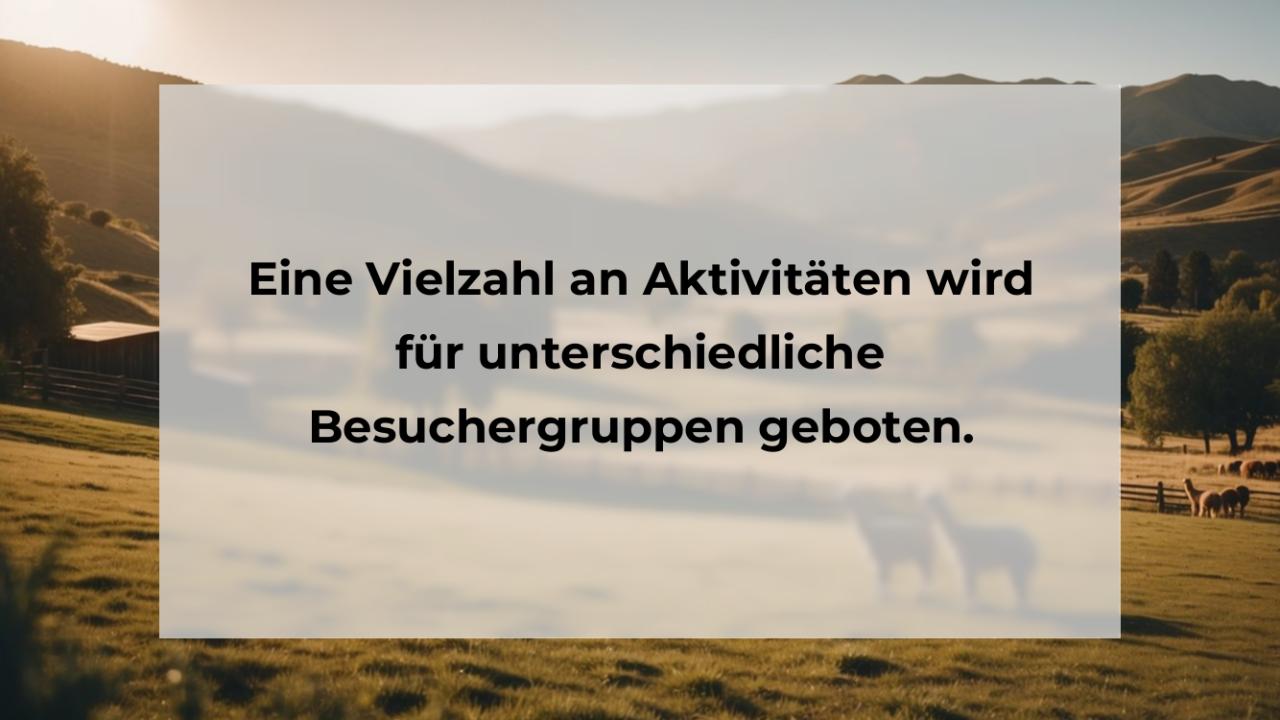 Eine Vielzahl an Aktivitäten wird für unterschiedliche Besuchergruppen geboten.