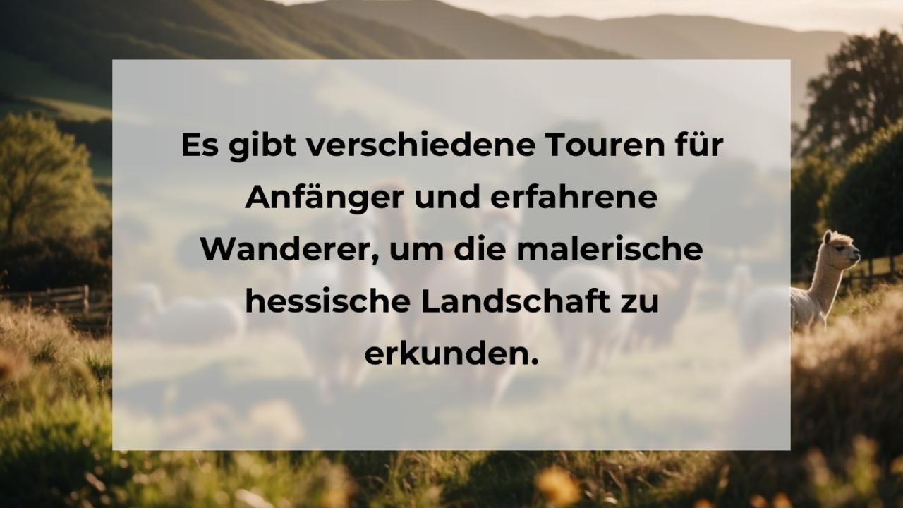 Es gibt verschiedene Touren für Anfänger und erfahrene Wanderer, um die malerische hessische Landschaft zu erkunden.