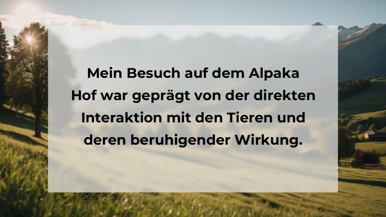 Mein Besuch auf dem Alpaka Hof war geprägt von der direkten Interaktion mit den Tieren und deren beruhigender Wirkung.