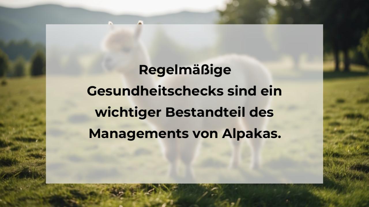 Regelmäßige Gesundheitschecks sind ein wichtiger Bestandteil des Managements von Alpakas.