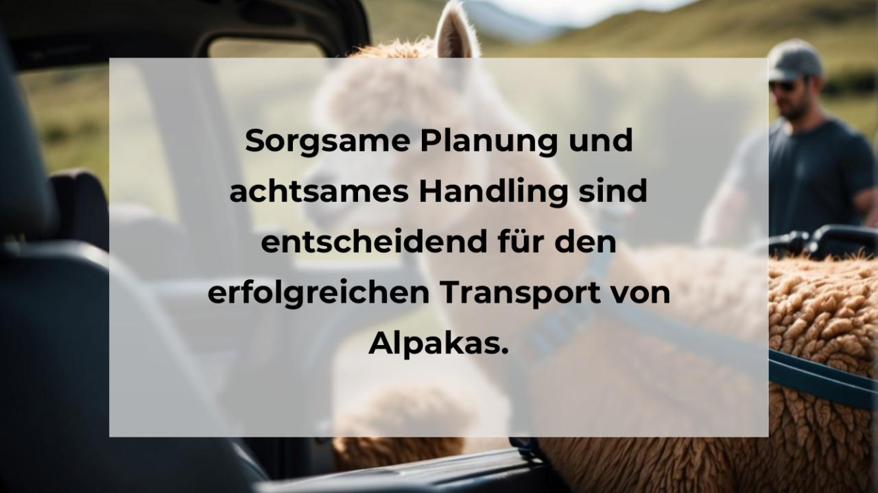 Sorgsame Planung und achtsames Handling sind entscheidend für den erfolgreichen Transport von Alpakas.
