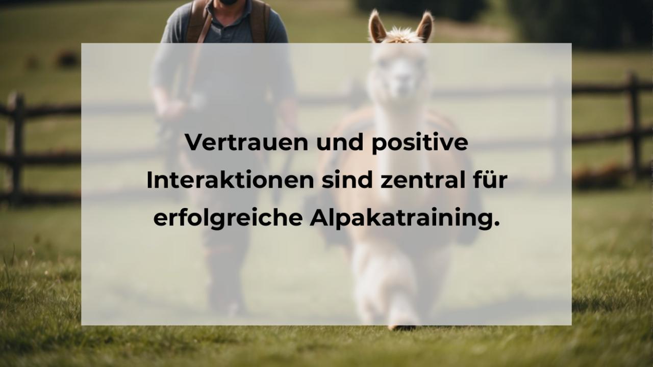 Vertrauen und positive Interaktionen sind zentral für erfolgreiche Alpakatraining.